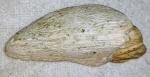 Six Nations Soapstone False Face Carving