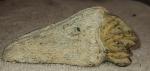 Six Nations Soapstone False Face Carving