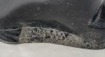 Inuit Soapstone Carving Seal Figure 5.5