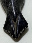 Large Vintage Inuit Soapstone Seal Carving
