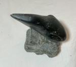 Hand-Carved Inuit Bird Soapstone Sculpture