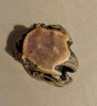 Unique Soapstone Elephant Horn Carving Cup