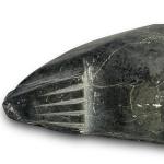 Eskimo Seal Soapstone Art Sculpture