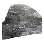 Inuit Soapstone Hunter and Seal Carving 7