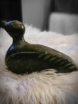 Hand Carved Soapstone Duck Sculpture with Signature
