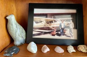 Inuit Hand-Carved Soapstone Water Bird Figurine