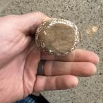 Inuit Soapstone Woman with Buckets and Flowers