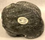 Black Soapstone Carving of Canadian Wolf