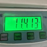 Inuit Soapstone Seal Sea Lion Sculpture 11 lbs