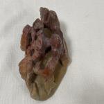 Chinese Soapstone Anemone Floral Carving