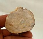 Antique Chinese Soapstone Guanyin Figurine, Seated Elder