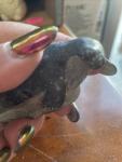 Inuit Seal Soapstone Sculpture, Hand-Carved Art