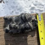 Inuit Soapstone Sculpture: Eskimo Kids with Rabbit