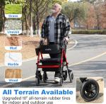 Walker Wheelchair, 2 in 1 Rollator Transport Chair, 10"All Terrain Wheels, 450lb
