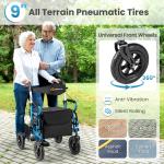 2-in-1 Rollator Walker for Seniors w/ Seat 9" Pneumatic Tires for All Terrain