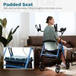 ELENKER Lightweight Upright Rollator with Seat, Blue