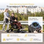 4-in-1 Ultralight Rollator and Electric Wheelchair