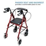 Lumex Walkabout Junior Rollator - Light & Compact
