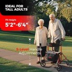 Compact Foldable Rollator with Seat for Seniors