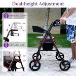 Lightweight JumboTIGER Rollator Walker with Padded Seat