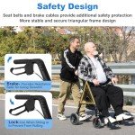 2-in-1 Carbon Ultralight Rollator & Transport Chair