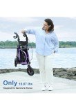 Lightweight Foldable 3-Wheel Rollator Walker with Seat