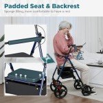 Lightweight Blue Rollator Walker with Padded Seat