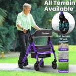 BlessReach Foldable Rollator with Seat for Seniors