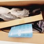 Elenker 10" All Terrain Walker with Seat & Backrest – 300lb Rollator for Elderly