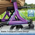 MAXWALK All-Terrain Rollator Walker for Seniors 12"Rubber Wheels Foldable Walker