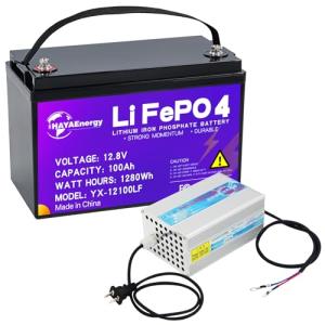 HAYAEnergy 12V 100Ah Lithium Battery 2-Pack