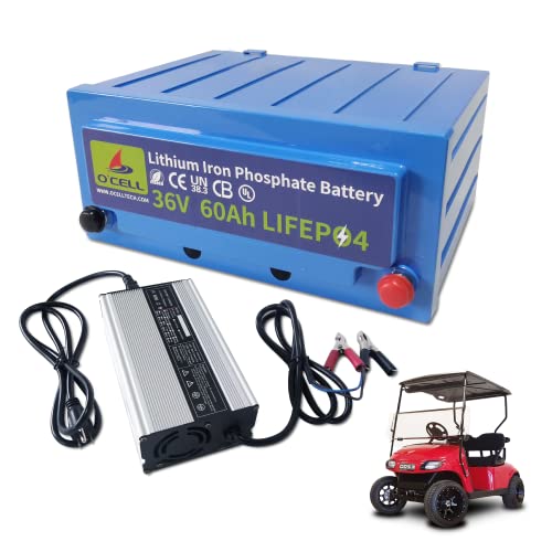 Marine Lithium Ion Battery Kit with Charger