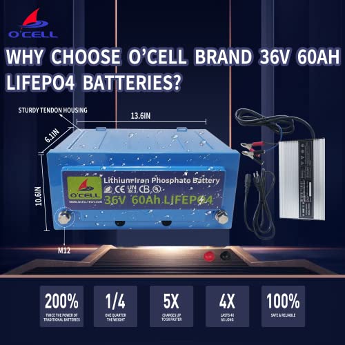 Marine Lithium Ion Battery Kit with Charger