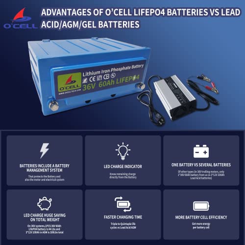 Marine Lithium Ion Battery Kit with Charger