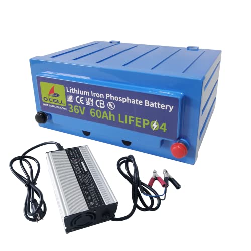 Marine Lithium Ion Battery Kit with Charger