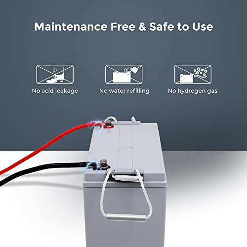 Renogy AGM Battery 12V 100Ah - Marine & Off-Grid
