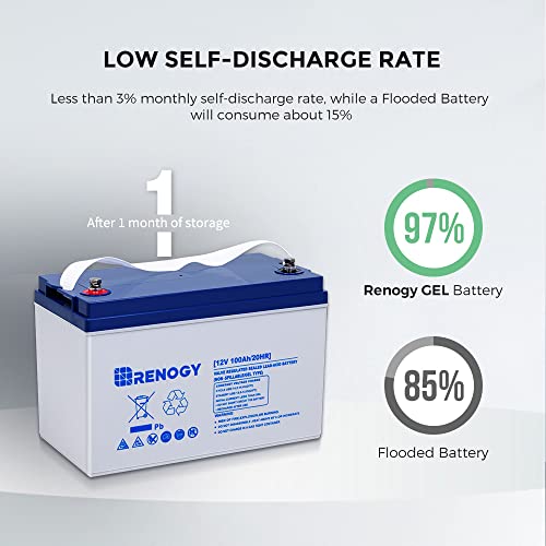Renogy 100AH Deep Cycle Gel Battery for Marine