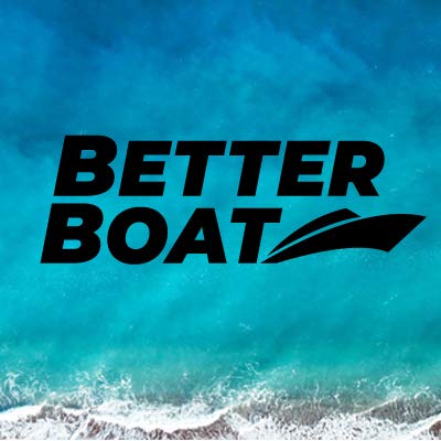 Set of 2 Inflatable Boat Fenders