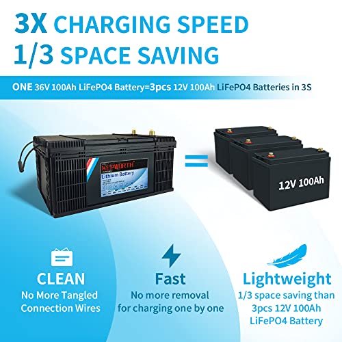 36V Lithium Battery with Upgraded BMS - Marine Grade