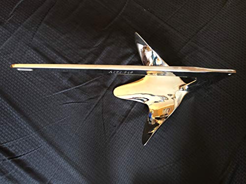 Stainless steel Bruce Claw anchor - 33lbs (15kg)