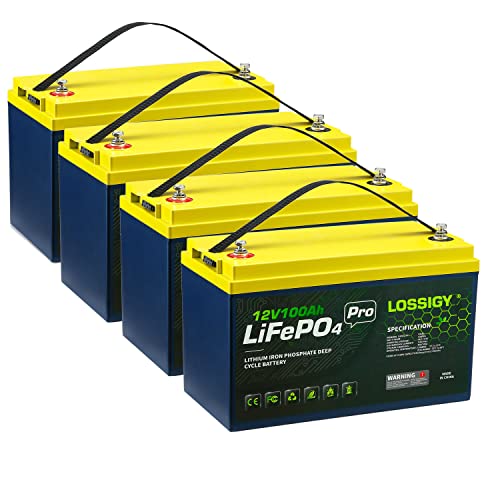 12V 100Ah Lithium Battery for Marine Use