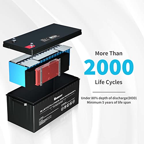 Renogy 12V Lithium Deep Cycle Battery with Bluetooth