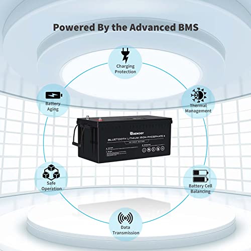 Renogy 12V Lithium Deep Cycle Battery with Bluetooth