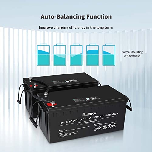 Renogy 12V Lithium Deep Cycle Battery with Bluetooth