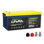 12V 400Ah LiFePO4 Battery for Marine/RV/Solar