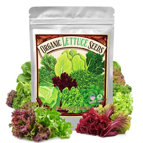 Organic Lettuce Seeds Variety Pack