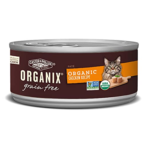 Grain Free Organic Chicken Recipe Cat Food
