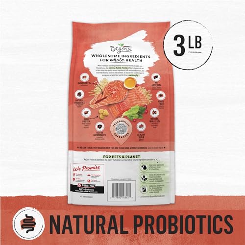 Purina Beyond Natural Healthy Salmon Cat Food - 3 lbs