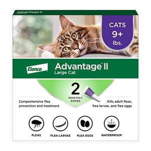 Vet-Recommended Flea Treatment for Large Cats | 2-Month Supply