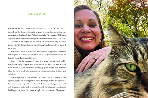 Cat lover's heart: inspiring pawverbs stories